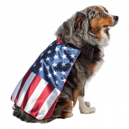 4th Of July Dog Costume image