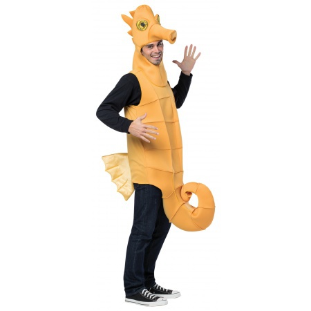 Seahorse Costume image