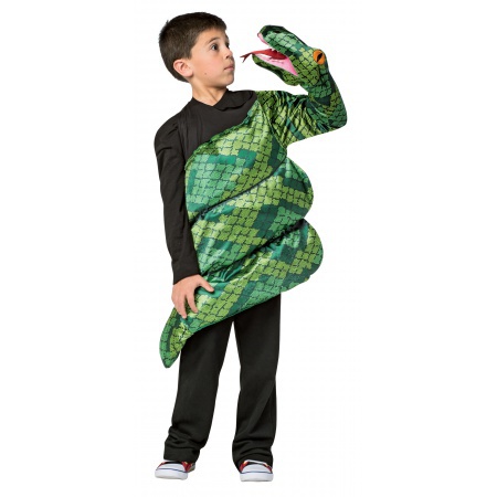Snake Costume For Kids image