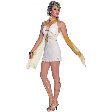 Playboy Goddess Costume image