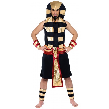 King Tut Costume image