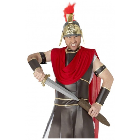 Roman Sword Set image