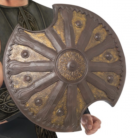 Achilles Shield image