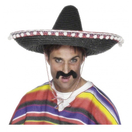 Mexican Sombrero image