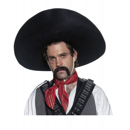Mexican Sombrero Hat image