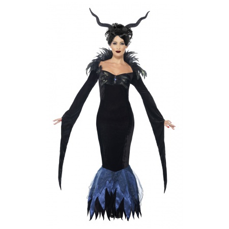 Raven Sorceress Costume image