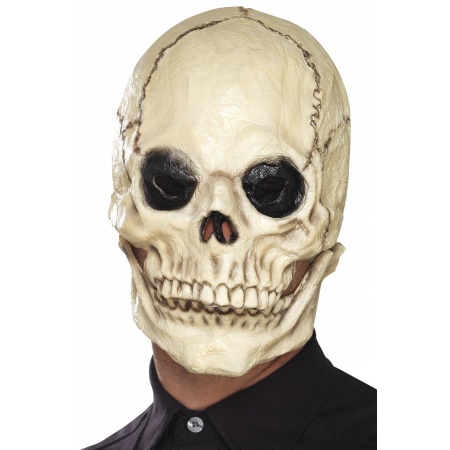 Skull Headpiece image