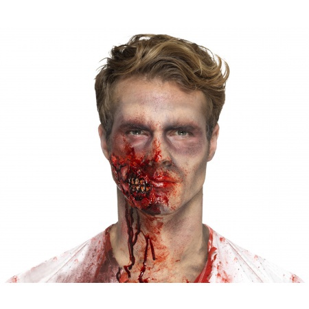 Zombie Prosthetic Makeup image