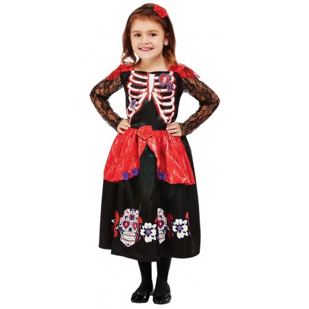 Skeleton Girl Costume  image