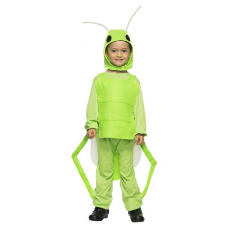 Grasshopper Costume For Kids image