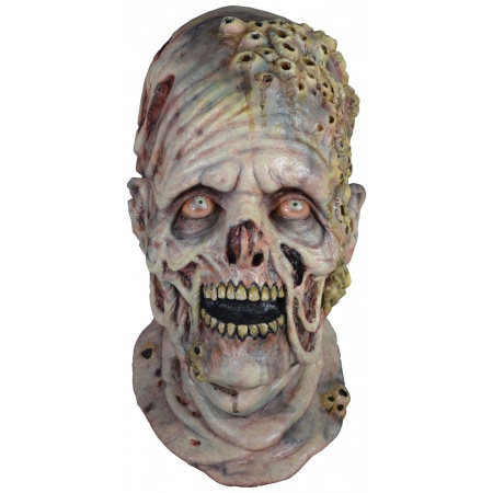 Zombie Mask image