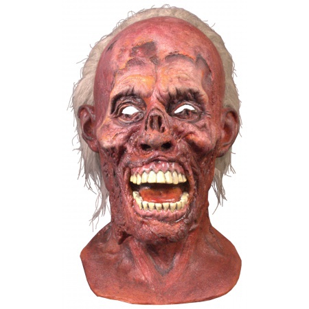 Scary Zombie Mask image