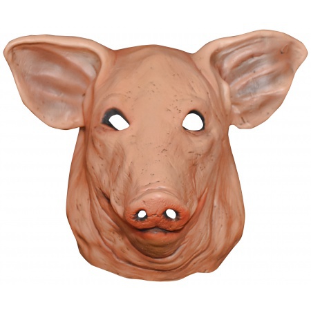 Pig Mask image
