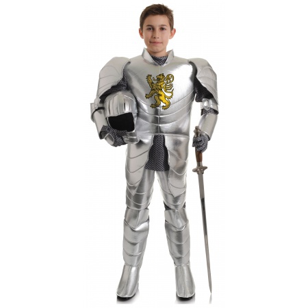 Boys Knight Costume image