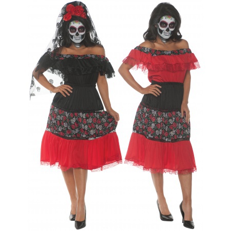 Day Of The Dead Senorita Costume image