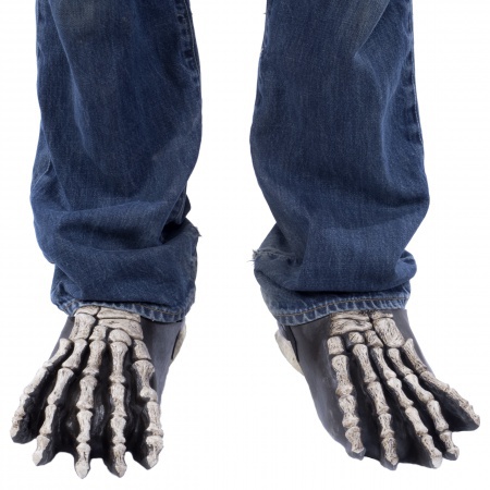 Skeleton Feet image
