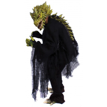 Dragon Costume Adult image
