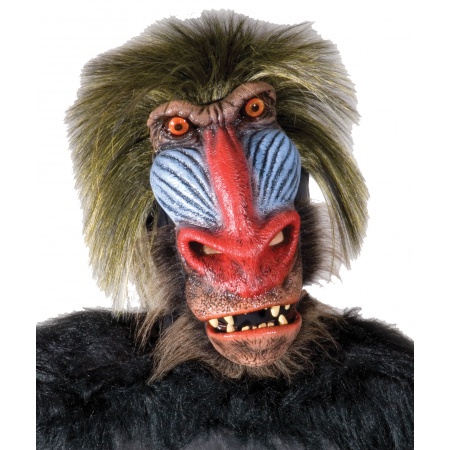 Baboon Mask image