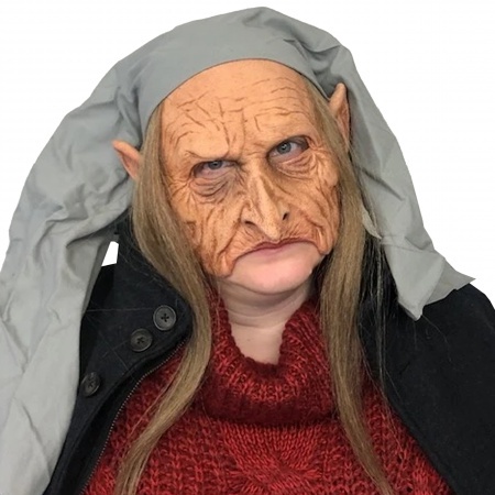 Elf Costume Woman image